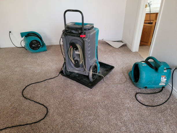 Best Ceiling water damage repair  in South Gate Ridge, FL