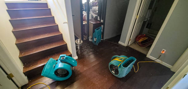 Best Water damage restoration near me  in South Gate Ridge, FL