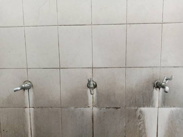 South Gate Ridge, FL Water damage restoration Company