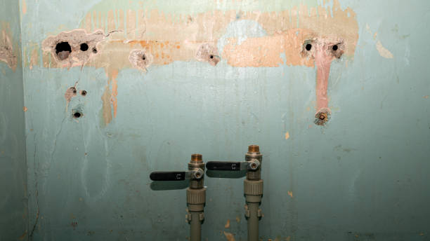 Water damage restoration mold remediation in South Gate Ridge, FL