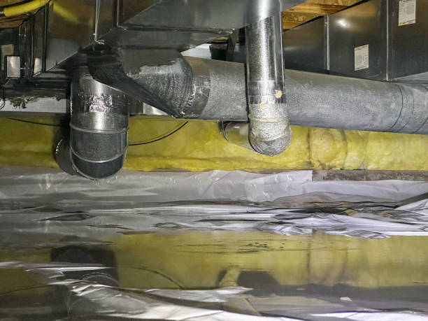 Best Basement water damage restoration  in South Gate Ridge, FL