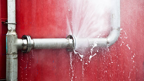 Best Local water damage restoration  in South Gate Ridge, FL